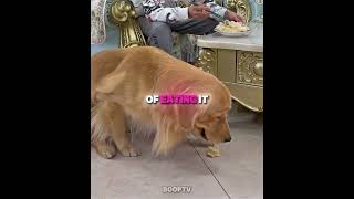 Download lagu #mixtape mp3