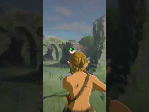 guardian wake up call #zelda #zeldabotw #botw #gameplay #gamer #gaming #videogame #nintendo #trick