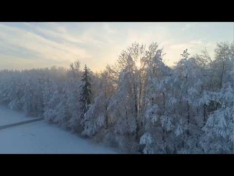 Mark Knopfler and The Notting Hillbillies - Blues Stay Away From Me