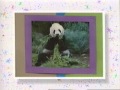 Barney Says Segment Our Earth Our Home