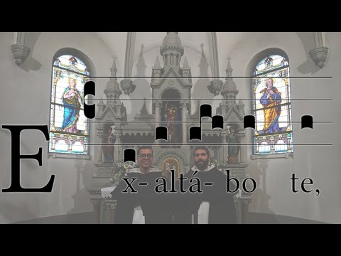 Exaltabo te O.P. (Feria Quarta Cinerum)