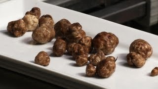 preview picture of video 'Next Week: Oregon White Truffles'