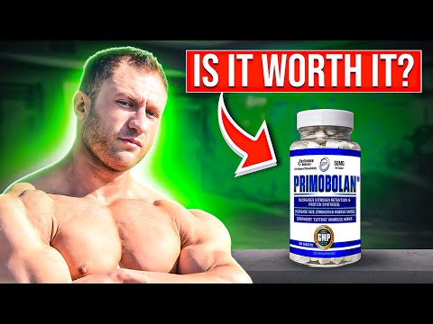 Everything You Need to Know About Primo | Is It Worth It?