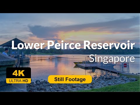 4K UHD - Lower Peirce Reservoir Park (STILL FOOTAGE) #sunset #relax #lake