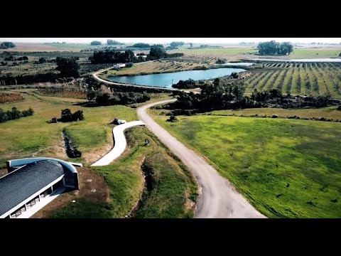 Rutas Turísticas Uruguay | Viñedos y Olivares del Quintón, Colonia, parte 1