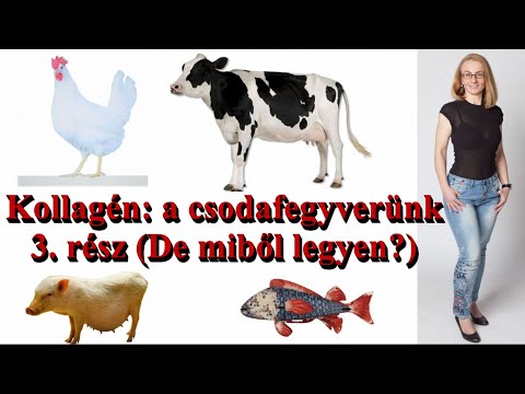 Ízületek fájdalma és kezelése