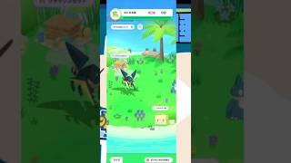 【ポケモンスリープ】　おひるね島引き取ってみた　【Pokémonsleep】