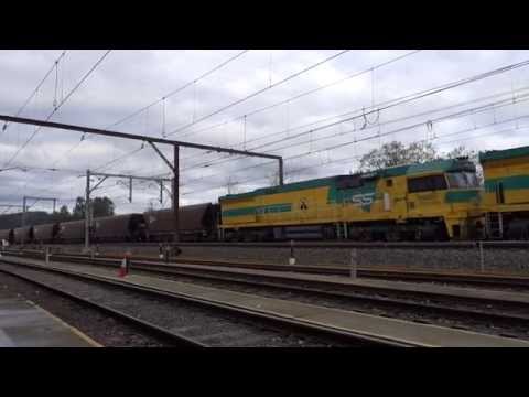 CEY's lead SSR loaded coal - 25/8/15