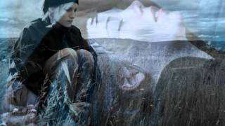 Don&#39;t Lose Heart ~ Dan Fogelberg  [ CC ]