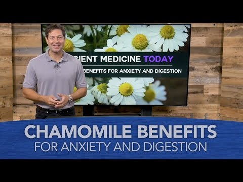 Chamomile Benefits for Anxiety and Digestion