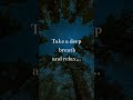 Cozy Campfire Acoustic Chill Folk Music Nature Sounds