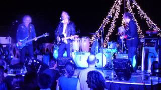 Peter Buck - Monkey Mask (Night 2, Todos Santos Music Festival)