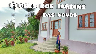 Miniatura do vídeo