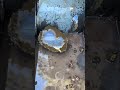 Gorgeous Oregon ThunderEgg 🤯