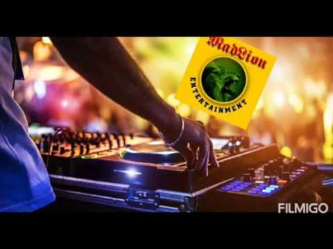 DJ SERVICES AVAILABLE MAD LION ENTERTAINMENT SHABBA MADDA POT