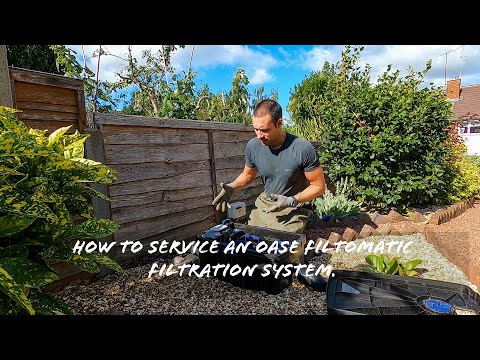 Watch Video on YouTube