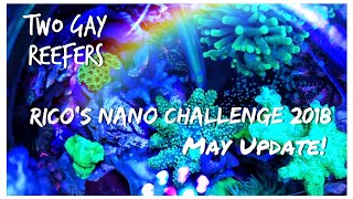 Rico’s Nano Challenge 2018 - Skull Reef May Update - Rico’s Aquariums
