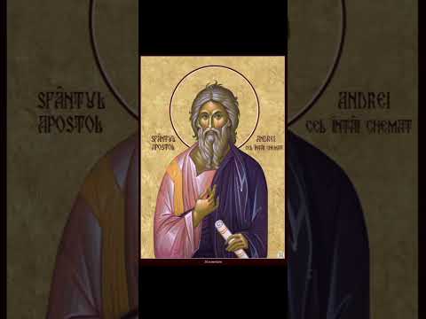 Pr. Antonie - Predică la Duminica a 30-a după Rusalii, Sf. Ap. Andrei