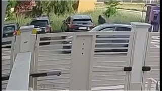 Giovinazzo, furto lampo di un Suv in pieno giorno: ecco il video che spopola