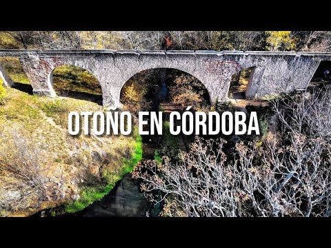 Otoño en Córdoba | DJI Mini 4K + Neo2 