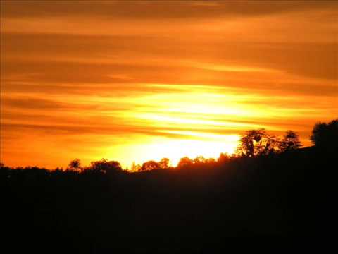 szeifert vs krash - Emotion