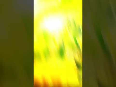 تصميم اسد الله الغالب علي ابن أبي طالب ياعلي ياعلي