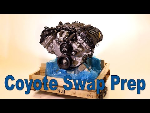 Prepping the 5.0 Ford Coyote Engine to Swap into Our Fake Snake Mustang!