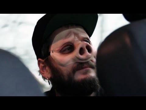 DIVOKEJ BILL - OBEJMI STROMY