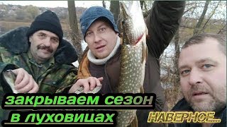 Рыбалка на осетре в луховицах