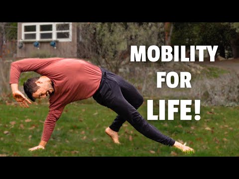 Funktionelle Tierbewegungen für lebenslange Beweglichkeit | Ganzkörpertraining