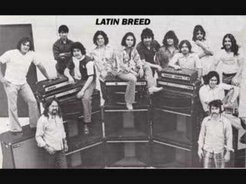 Talk To Me - Latin Breed