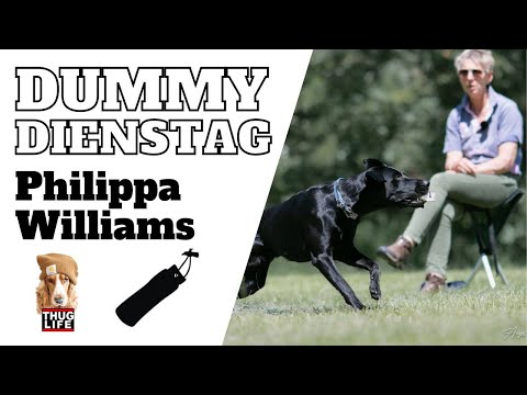Dummytraining mit Philippa Williams - Castleman's Gundogs
