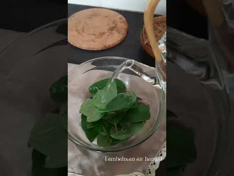 Cara Membuat Cincau secara Manual #shorts