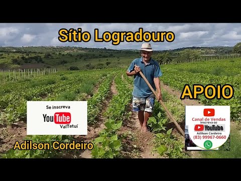 Os agricultores no sítio Logradouro Esperança paraíba Brasil