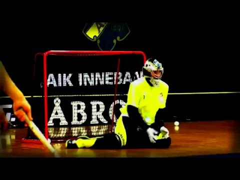 AIK - Warberg Highlights Rinkside, 151213