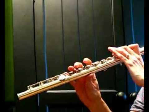 Yamaha 681 (784) Used Professional Flute - Low-Mid. Demo