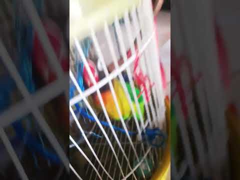 8 de janeiro de 2024