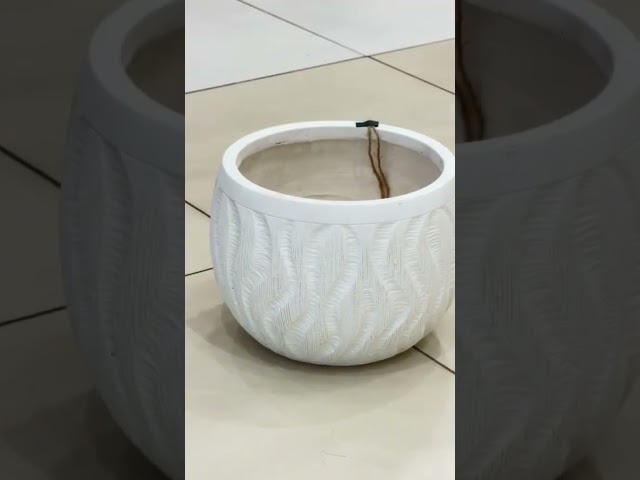 مركن شجر - الطول 22* القطر 27سم