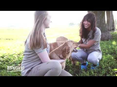 Kennel Tour 79