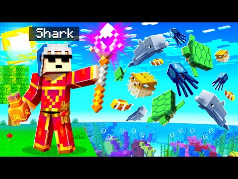 Shark - Playing Minecraft As A WIZARD!