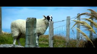 Summer in the Outer Hebrides