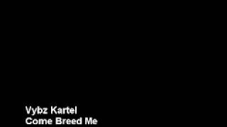 Vybz Kartel - Come Breed Me