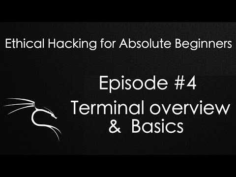Ethical Hacking - Terminal Overview & Basics - Ethical Hacking for Absolute Beginners - Episode #4