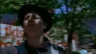 Wire - In Vivo