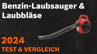 TOP–7. Die besten Benzin-Laubsauger & Laubbläser. Test & Vergleich 2024 | Deutsch