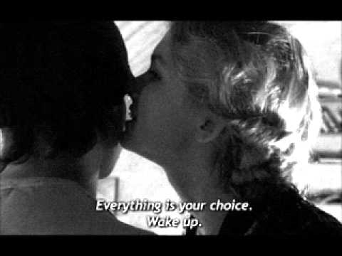 Environmental Youth Crunch - Cows