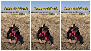 Watering Accidental Laugh Burst# Surprise Lianliankan