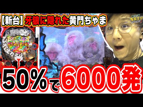 【新台LLサイズ】牙狼で隠れたけど荒ぶれた爆発力ちゃま【e黄門ちゃま寿限無 LLサイズ】[パチンコ][スロット]#日直島田