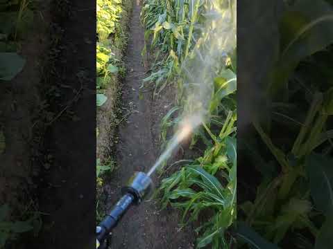 ファイルを聞くのが難しいですか?