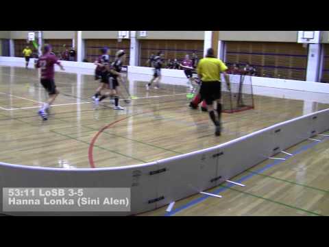 N1: SSV - LoSB 22.1.2012 maalikooste